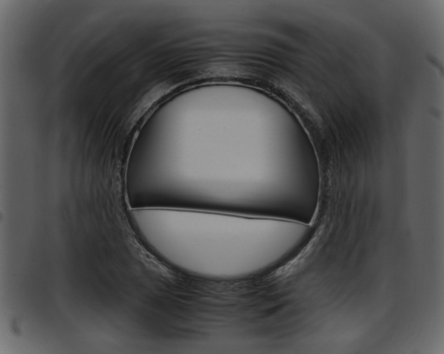 X0000097601025200802290726