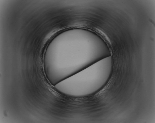 X0000097601027200802290726