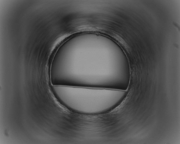 X0000097601030200802290726