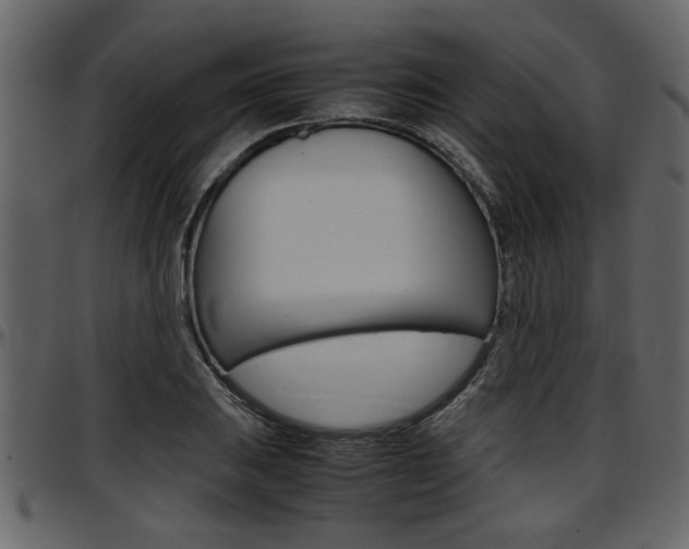 X0000097601031200802290726