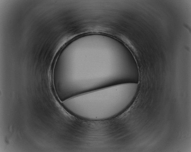 X0000097601032200802290727