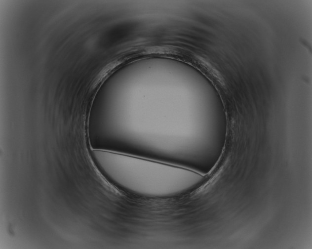 X0000097601033200802290727
