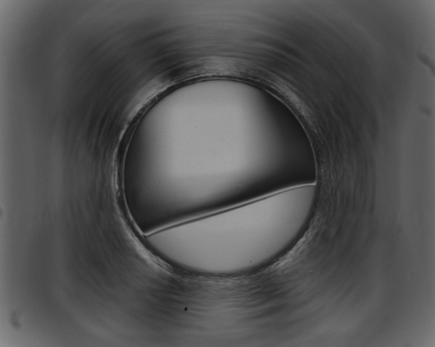 X0000097601034200802290727