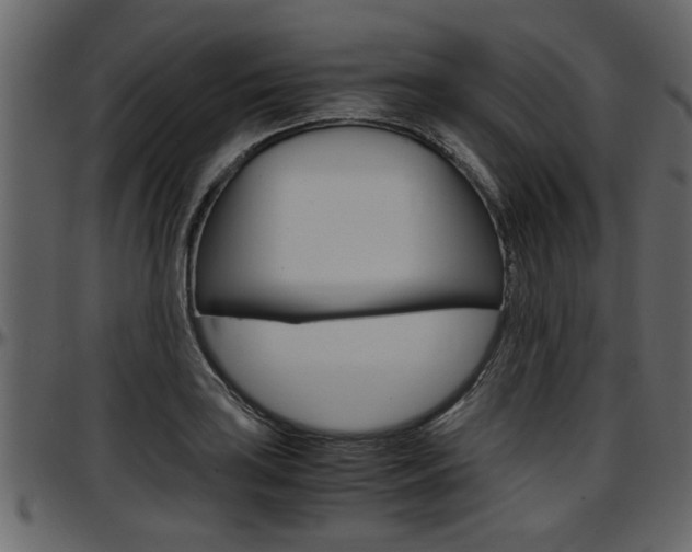 X0000097601035200802290727