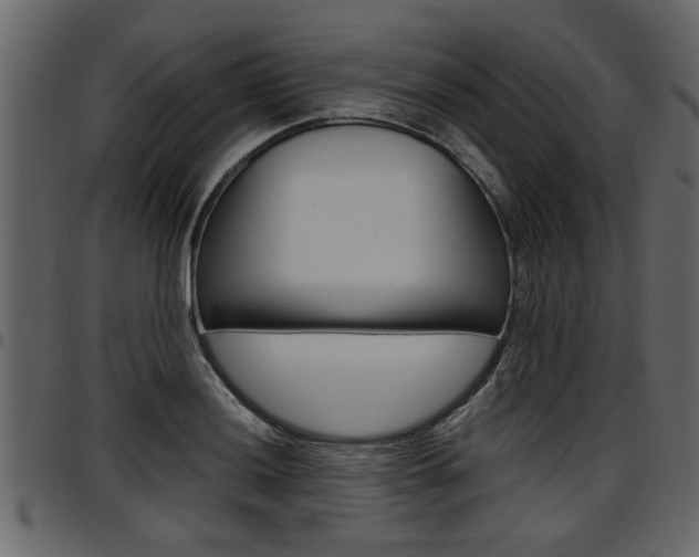 X0000097601036200802290727