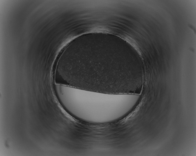 X0000097601037200802290727