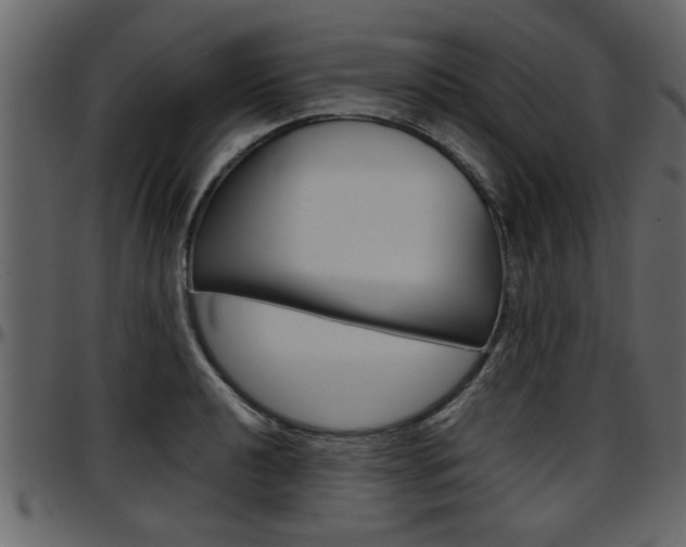 X0000097601040200802290727