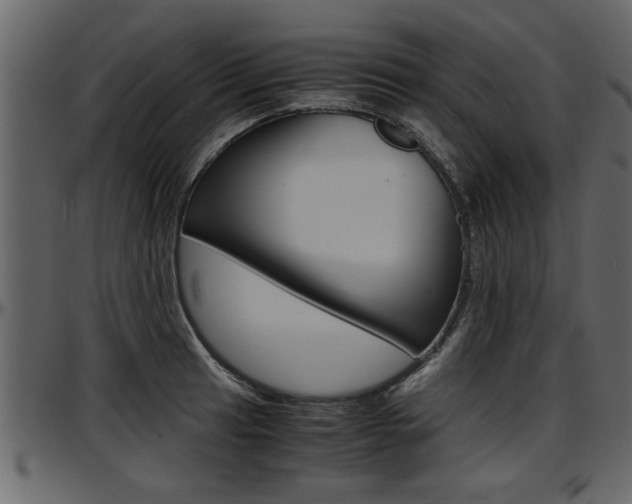 X0000097601041200802290727