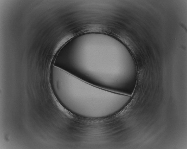 X0000097601042200802290727