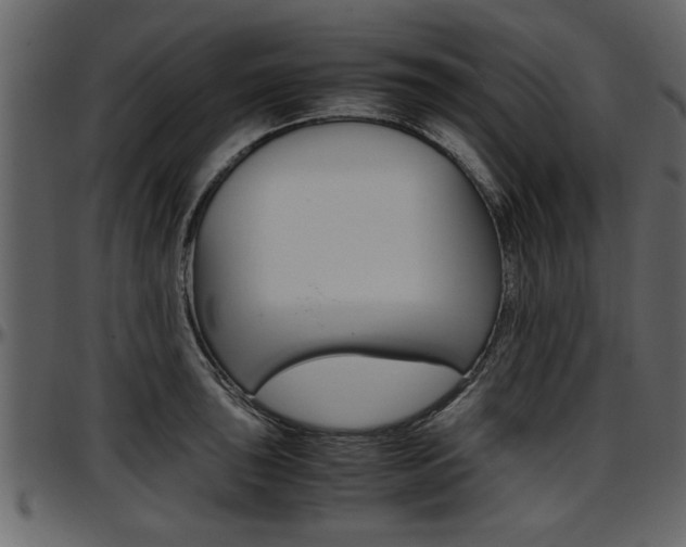 X0000097601043200802290727
