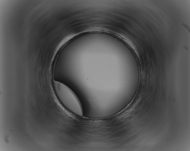 X0000097601045200802290727