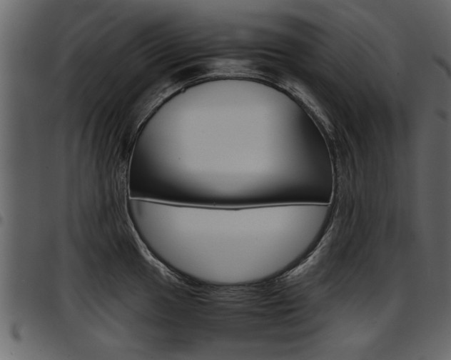 X0000097601049200802290727