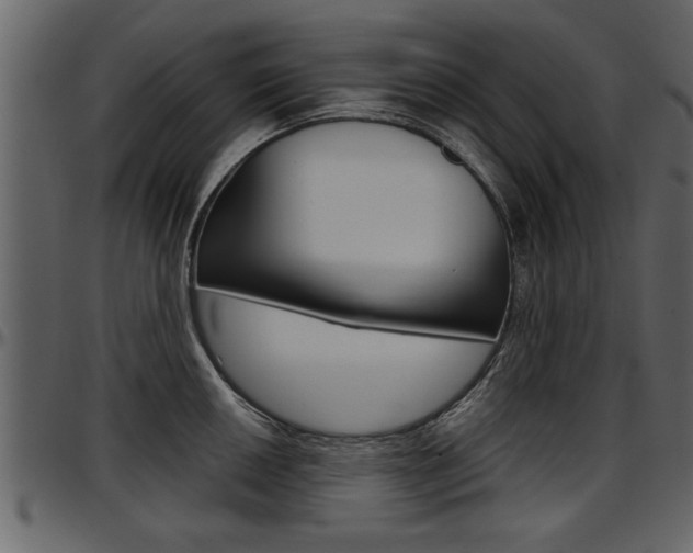 X0000097601050200802290727