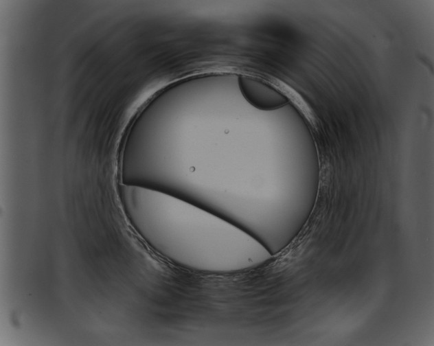 X0000097601051200802290727