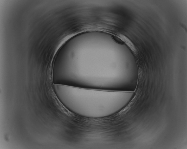 X0000097601052200802290727