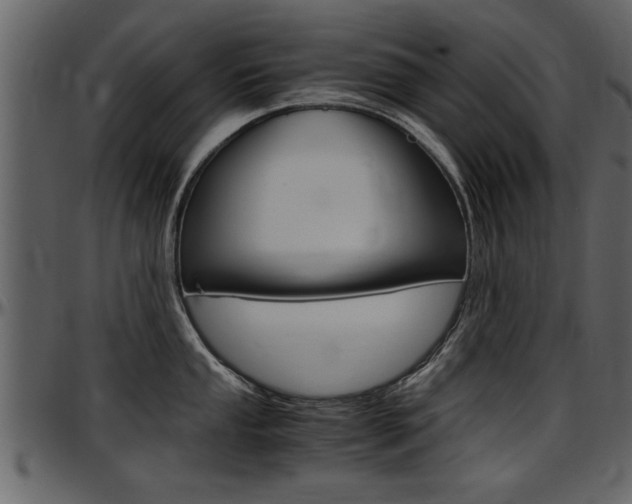 X0000097601053200802290727