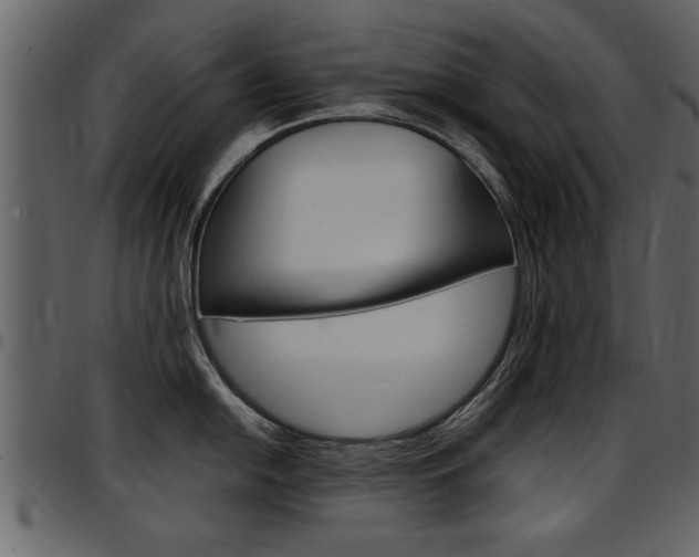 X0000097601054200802290727