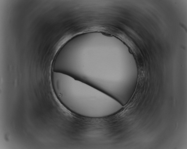 X0000097601055200802290727