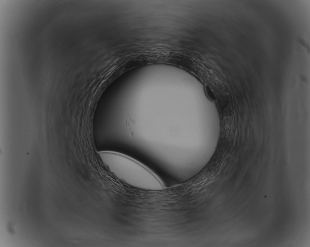 X0000097601057200802290726