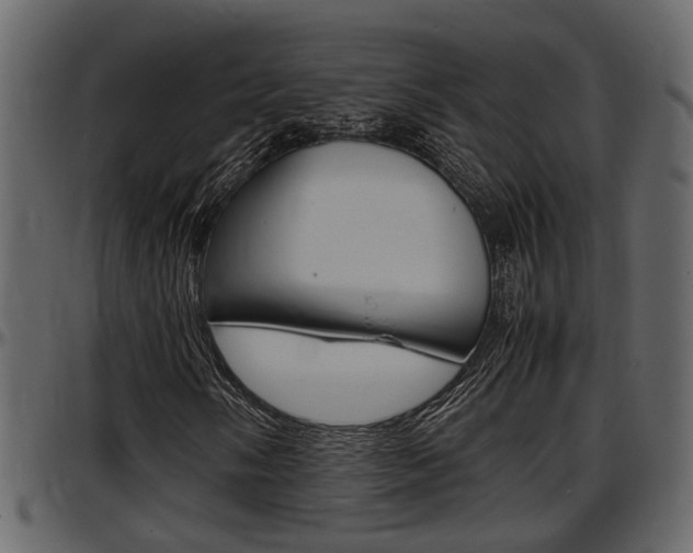 X0000097601058200802290726