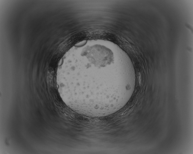 X0000097601059200802290726