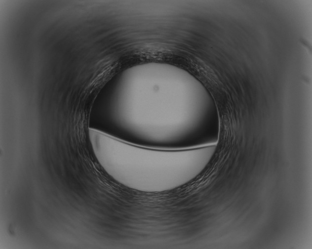 X0000097601060200802290726