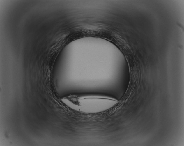 X0000097601061200802290726