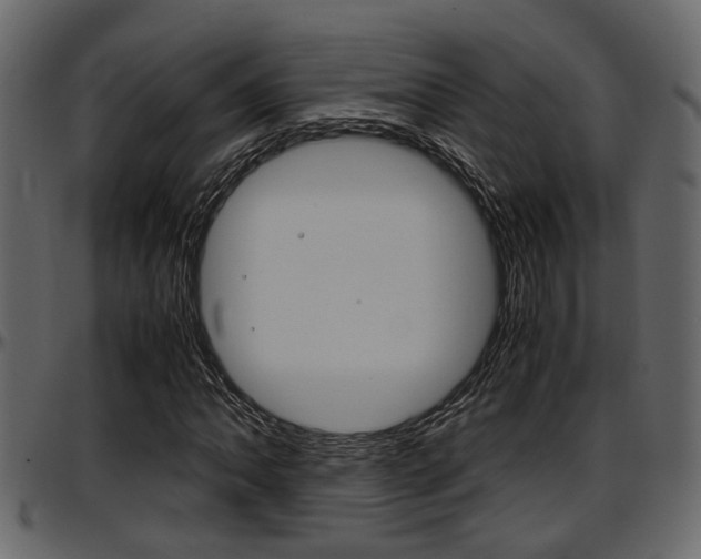 X0000097601062200802290726
