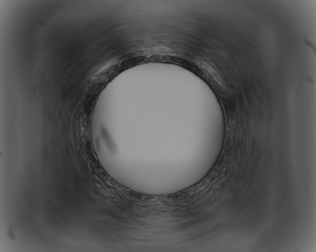 X0000097601063200802290726