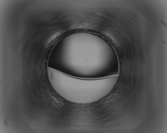 X0000097601064200802290726