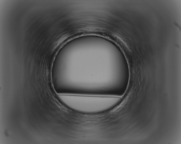 X0000097601065200802290726