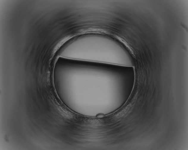 X0000097601066200802290726