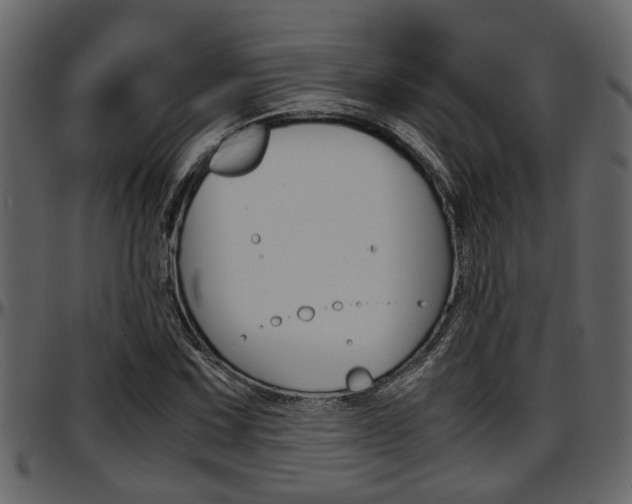 X0000097601067200802290726