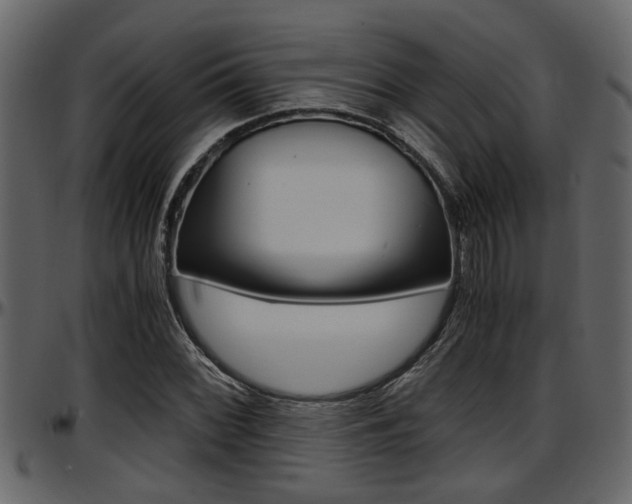 X0000097601068200802290726