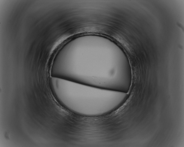 X0000097601070200802290726