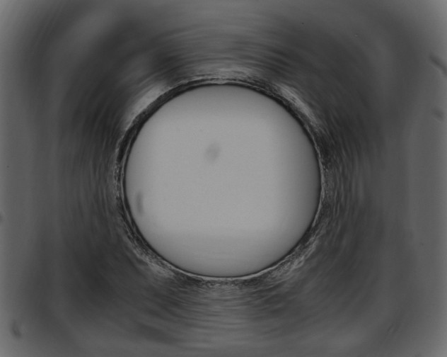 X0000097601071200802290726