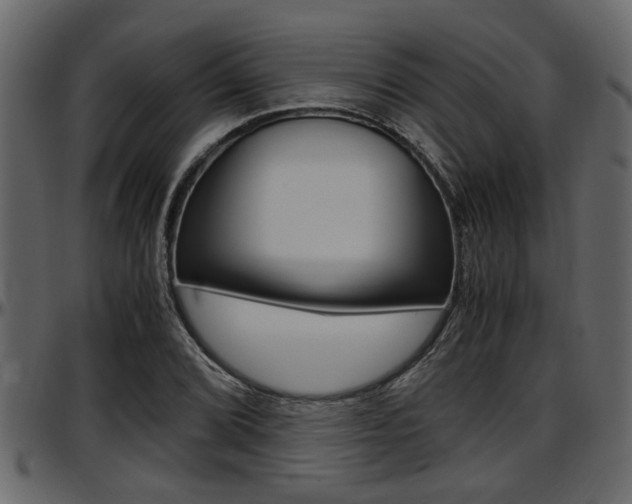 X0000097601072200802290726