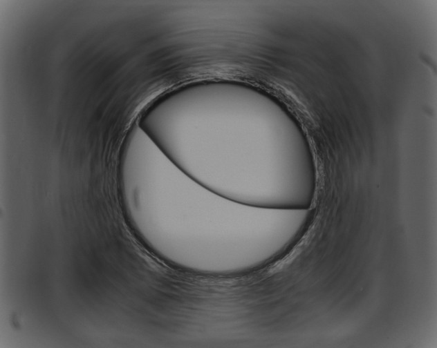 X0000097601073200802290726
