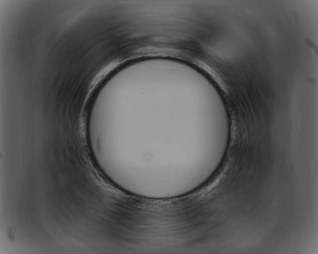 X0000097601074200802290726