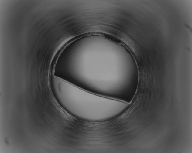 X0000097601076200802290726