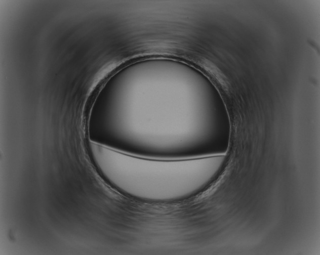 X0000097601077200802290726