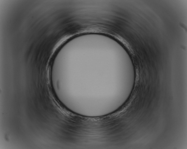 X0000097601078200802290726