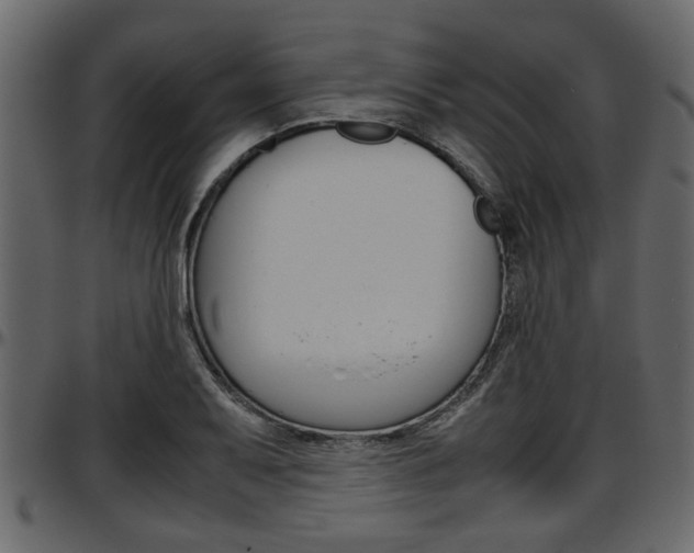 X0000097601079200802290726
