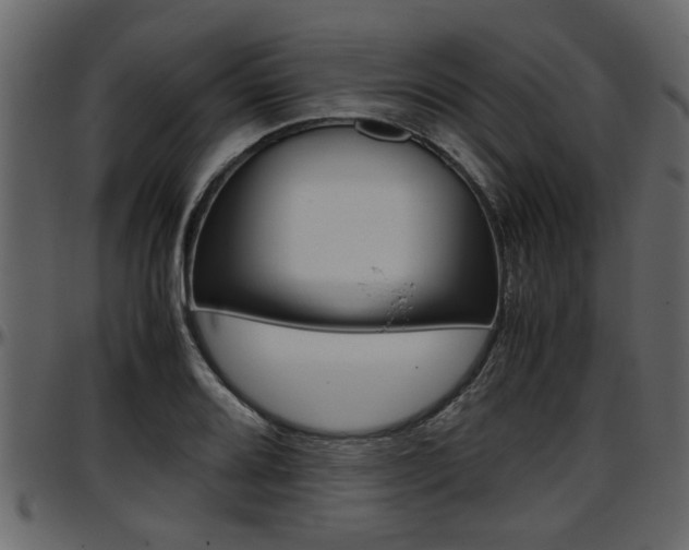 X0000097601080200802290726