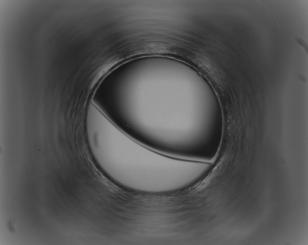X0000097601081200802290726