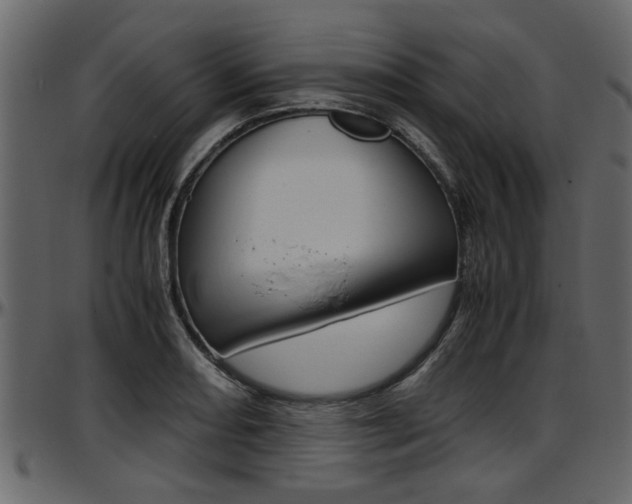 X0000097601082200802290726