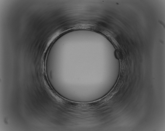 X0000097601083200802290726