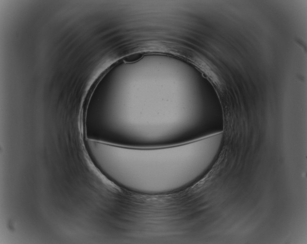 X0000097601084200802290726