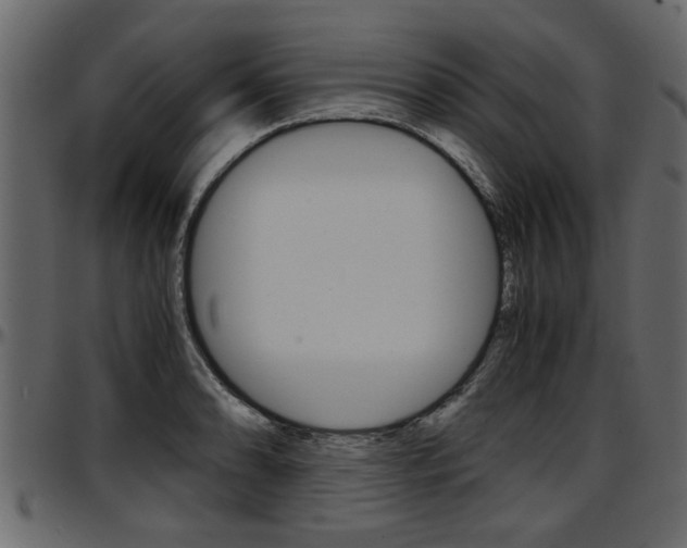 X0000097601086200802290726
