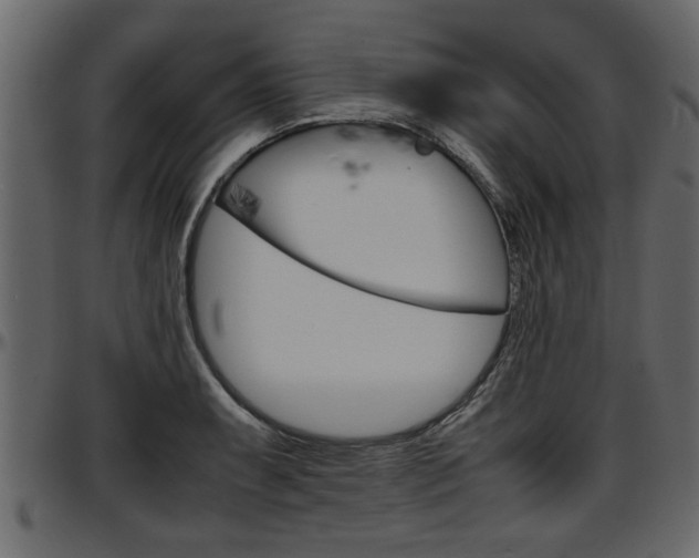 X0000097601087200802290726